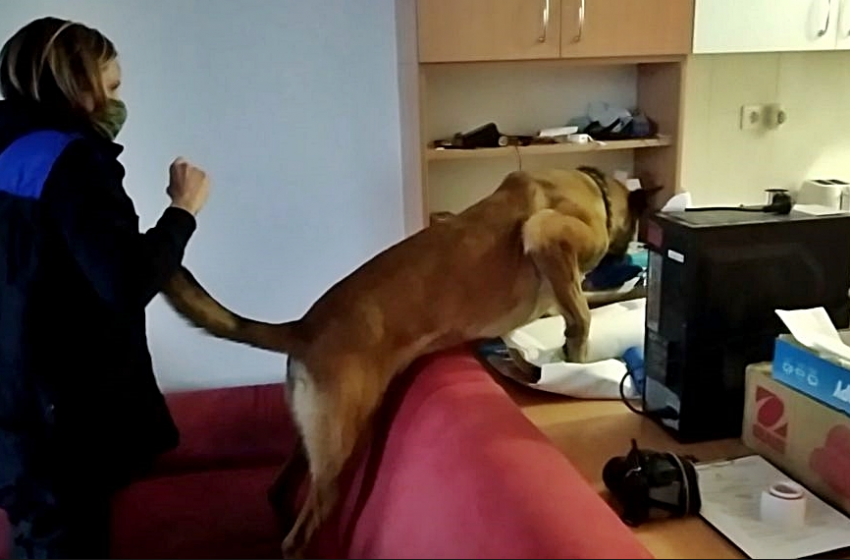 Dark weben rendelt drogot, de elfogták a rendőrök