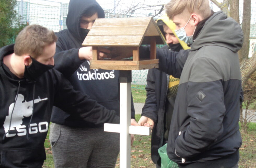 Téli madáretetés a Csukásban