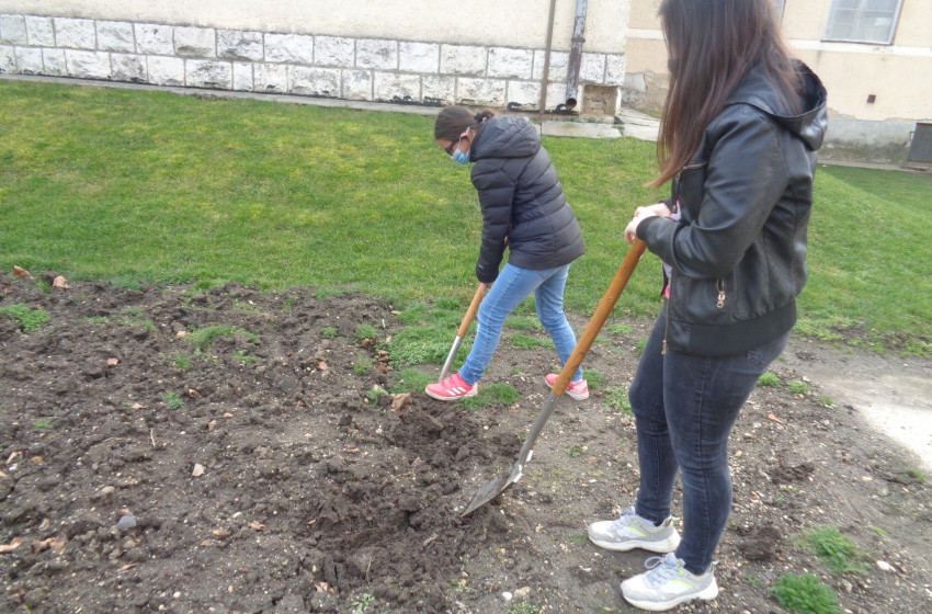 Tavaszi előkészítő munkák a Csukás iskola tankertjében