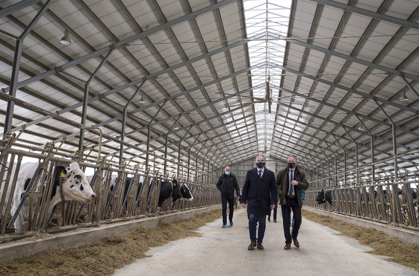 550 millió forintos támogatást kapott fejlesztésre a beledi szarvasmarhatelep