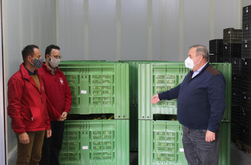 Adománnyal az egészségért – Almát kapott és adott az Egyházmegyei Karitász