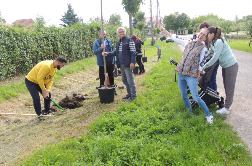 Babafát ültettek a fiatalok Rábapordányban