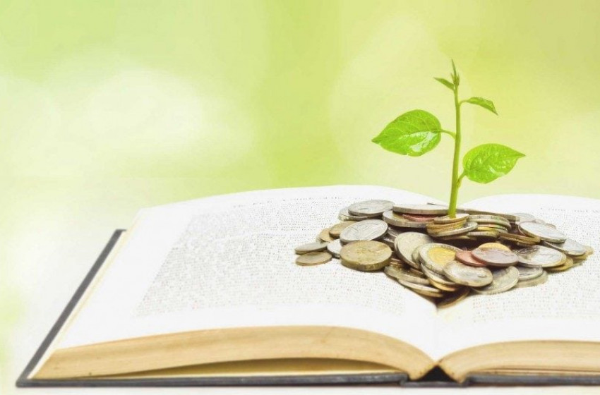 Ösztöndíj pályázatot hirdet Kapuvár