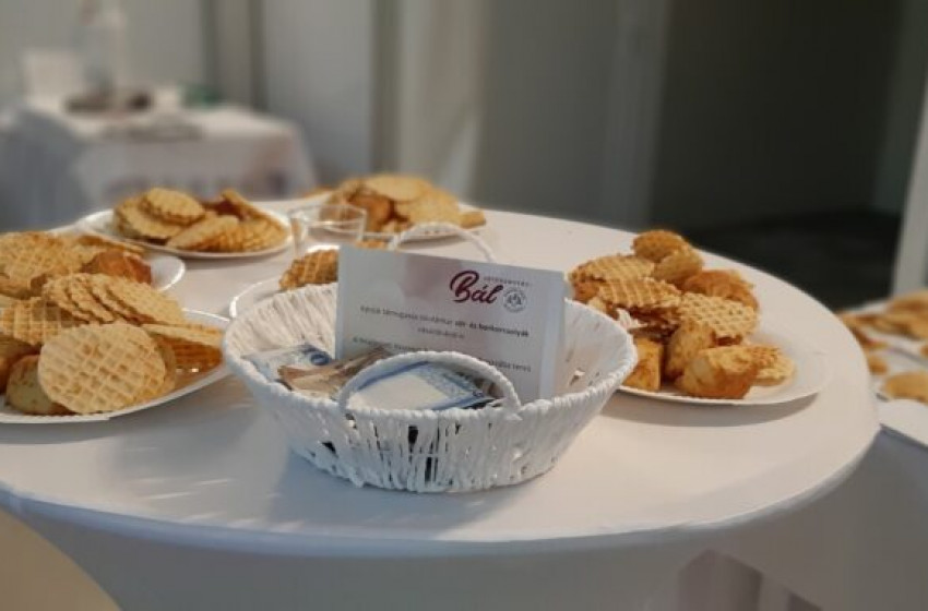 Jótékonysági bál a kapuvári Páli Szent Vince Iskolaközpont udvarainak fejlesztéséért