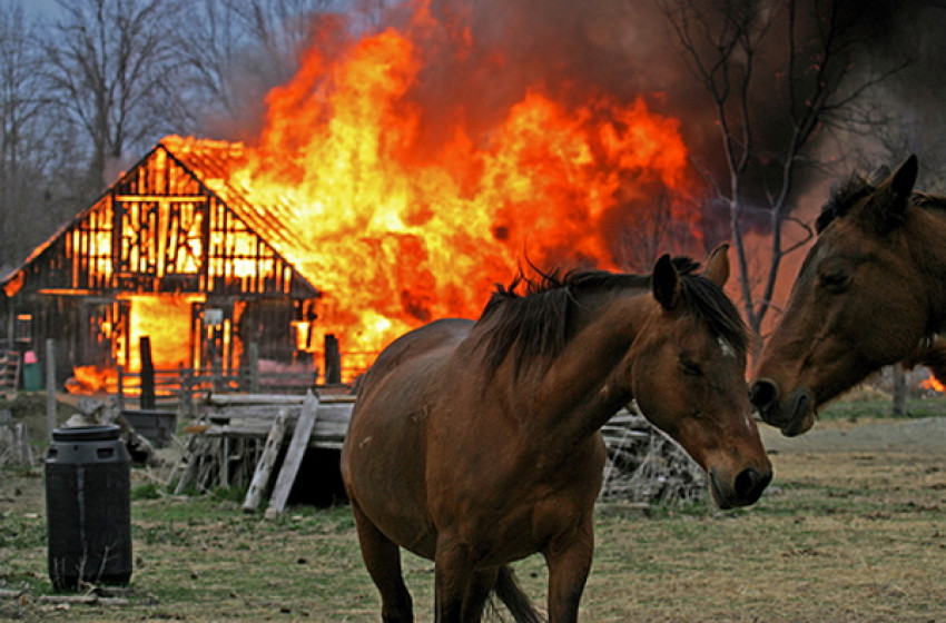 Kigyulladt egy istálló Rábaszentmihályon