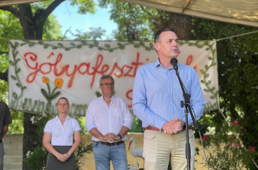 Gólyafesztivál Szanyban 