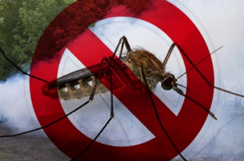 Szúnyoggyérítés lesz Csornán