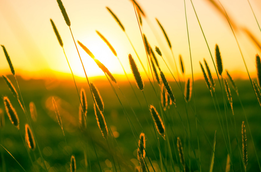 Szombaton jön az újabb hidegfront