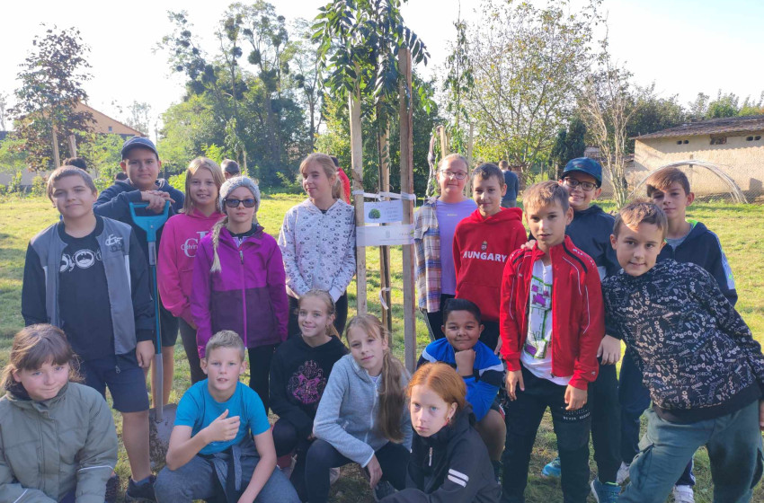 Országfásítás Mihályiban: iskolások ültettek kőrisfákat 