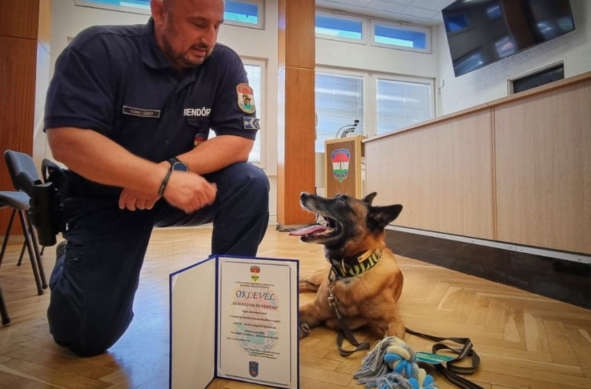 A Szagolunk és Védünk Díj: Spuri és Tremmel Nándor Rendőrkutyás Története