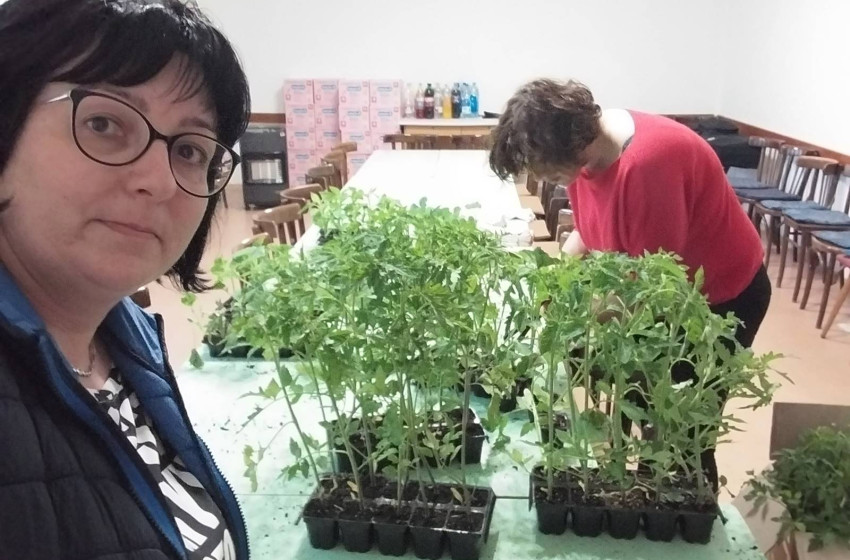 Idén is zöldellnek a kertek a Győri Egyházmegyében