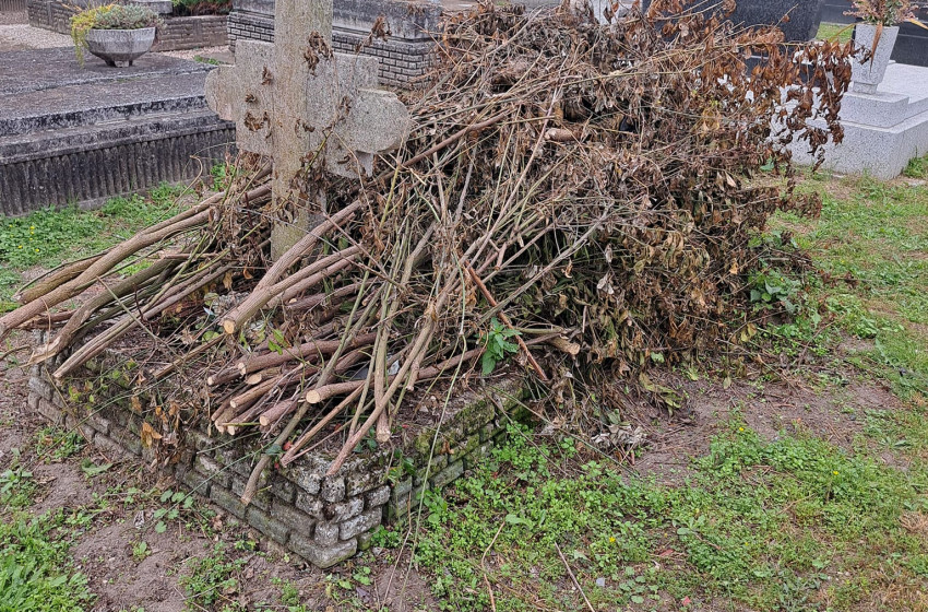 Sírgyalázás keltett furfangos feltűnést Mérgesen