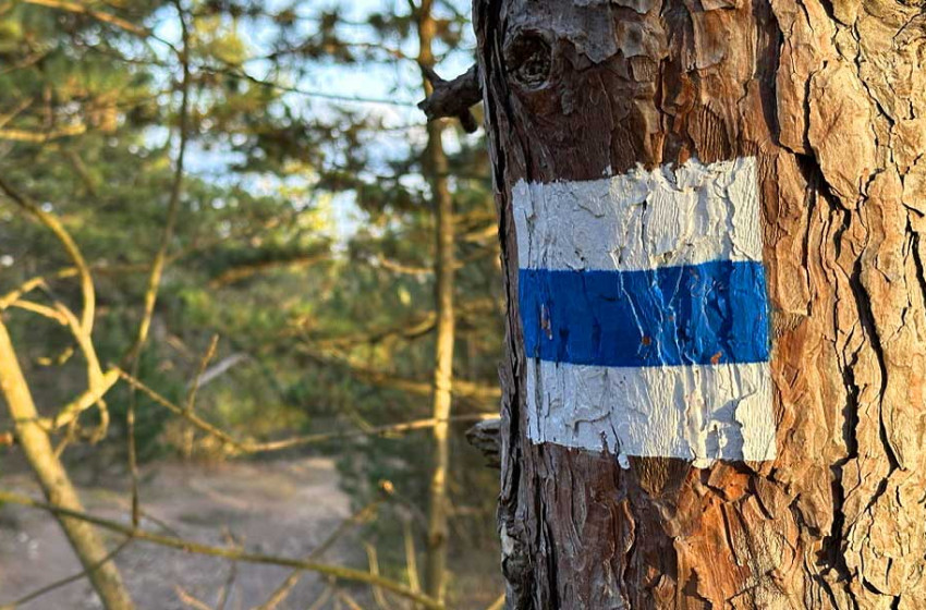 Csoda a Magas-Tátrában: reménytelen helyzetben mentették meg az eltévedt magyar párt