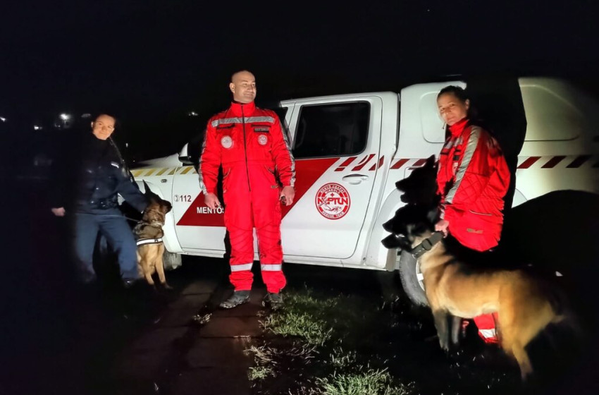 Mentőkutyák találták meg egy patak medrében az eltűnt 13 éves kislányt