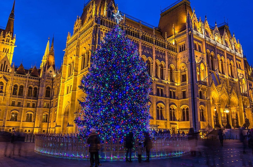 Hétfőn érkezik a Parlament elé az ország karácsonyfája