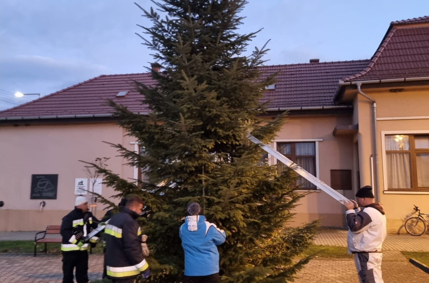 Már áll Bősárkányban az idei karácsonyfa 