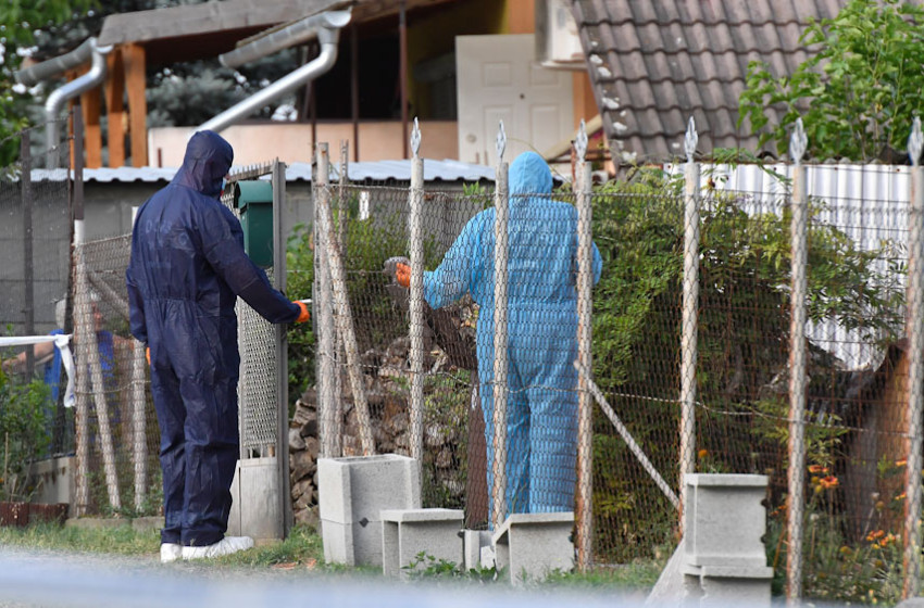  A macskái ehettek a napok óta halott asszony testéből
