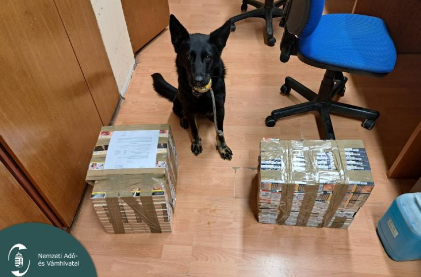 Gucci kutyával lebuktak cigarettacsempészek Győr-Moson-Sopronban 