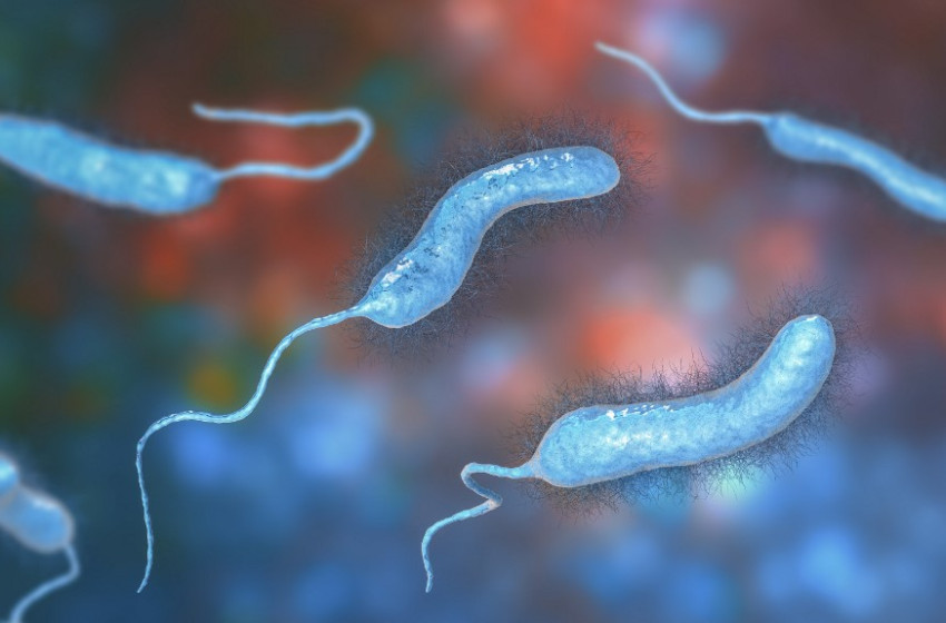 Húsevő baktérium támadta meg egy 33 éves ózdi férfi testét