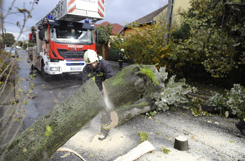 Tarolt az időjárás: fákat döntött ki és tetőket bontott meg az erős szél több vármegyében 