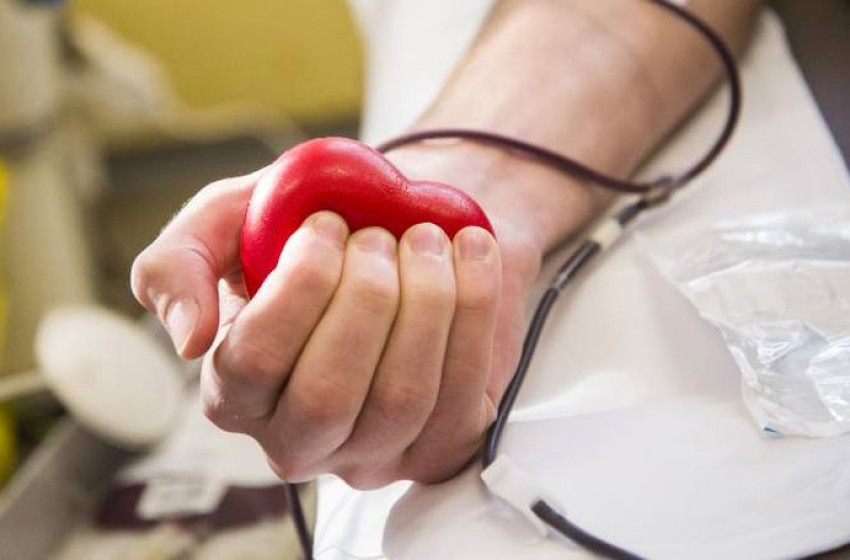 Adj vért Szárföldön