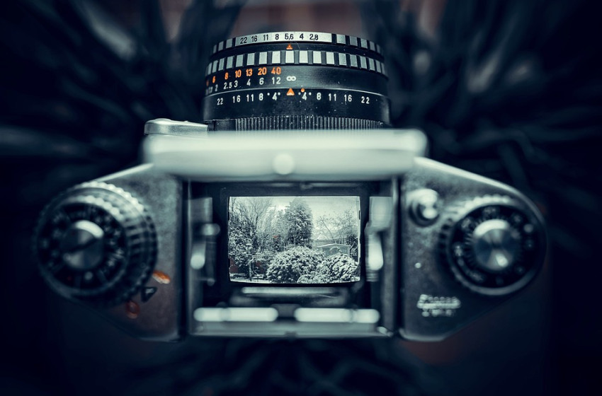 Lekörözte a világot a magyar természetfotós