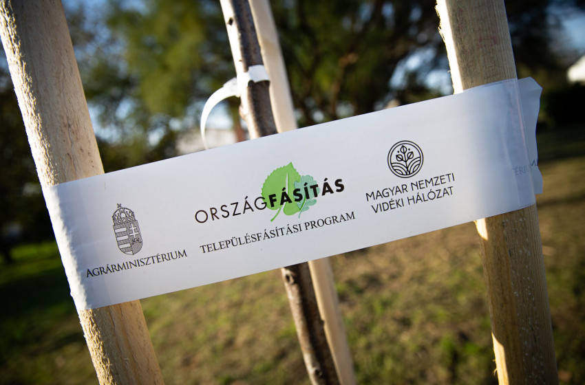 Idén folytatódik a településfásítási program