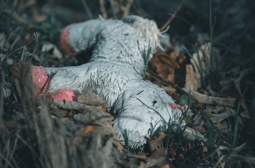Ha eltűnik egy gyermek, nincs idő a tanakodásra, azonnal cselekedni kell! 