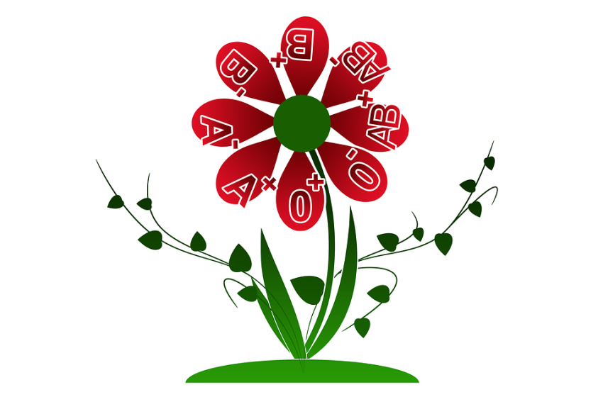 Adj vért Rábaszentandráson