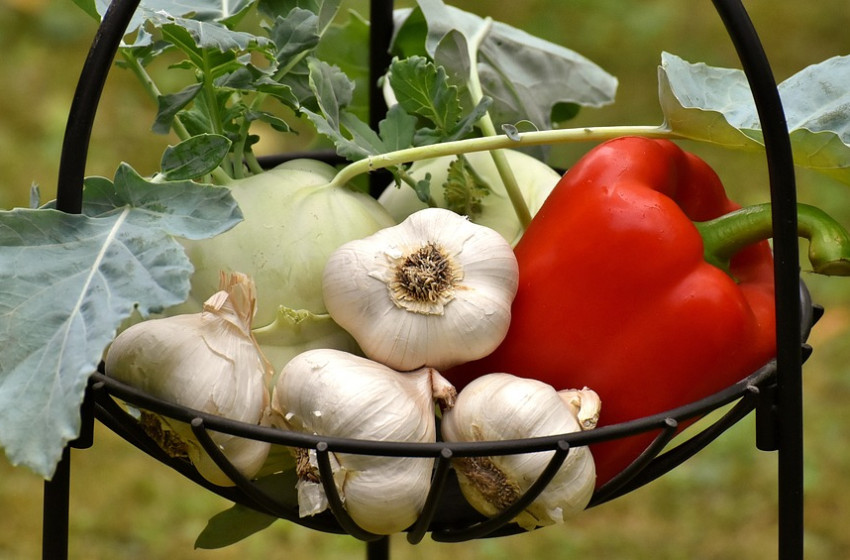 10 növény, amelyet már februárban elültethetsz