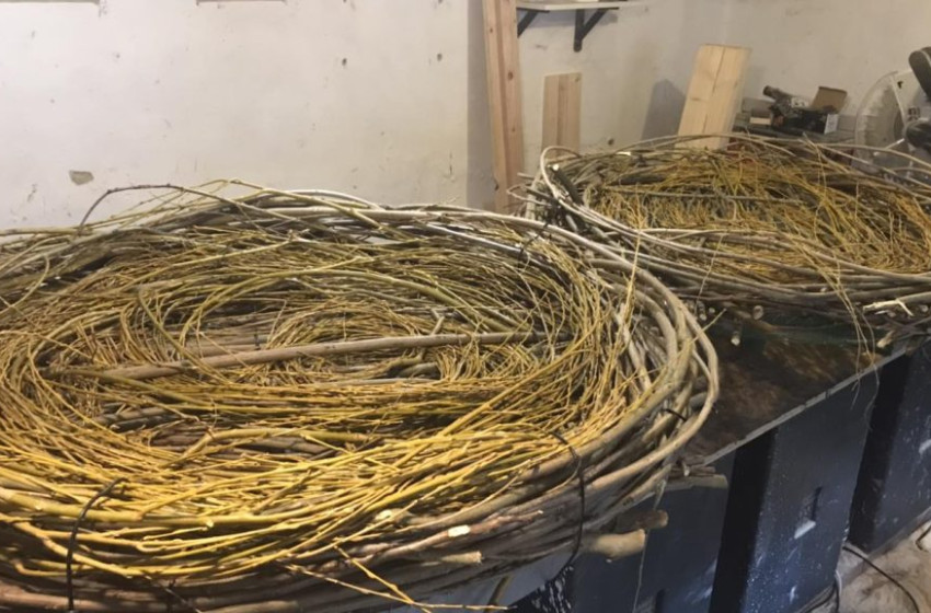 Fűzfavesszőből font a gólyáknak fészket a szolnoki madarász