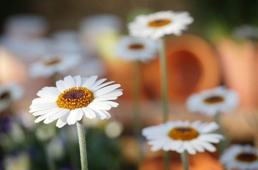 Nem várt fordulat az időjárásban, mutatjuk hol lesz eső és szél