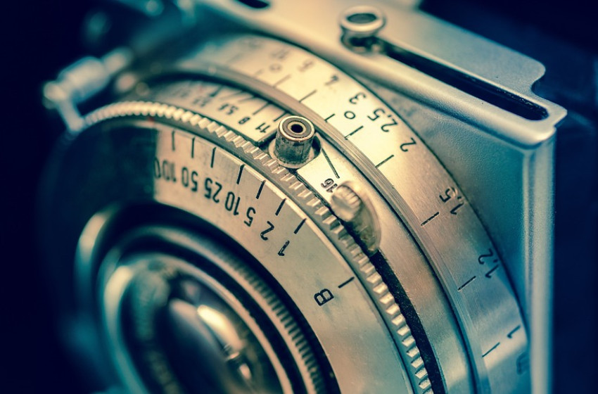 Megrendítő kép az év természetfotója a közönségszavazatok alapján