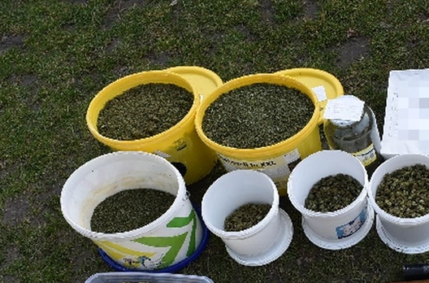 Több mint nyolc kilogrammnyi kábítószert találtak Csorna környékén