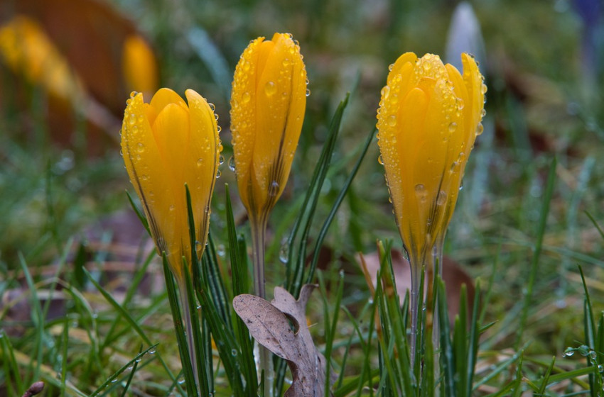 Egyre melegebb lesz, de valami más is történik 