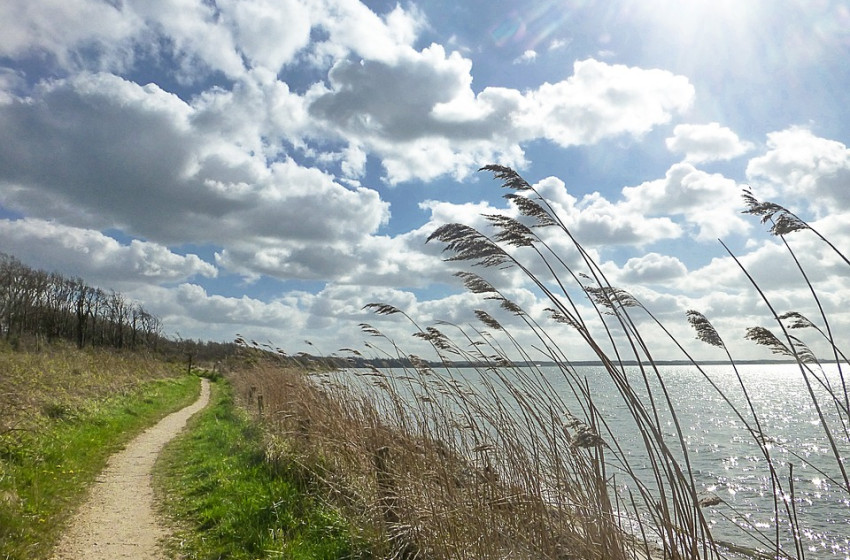 A szél sem fújja el a kora-tavaszt – mutatjuk, hány fok várható