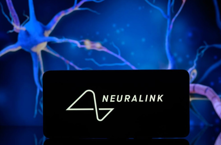 Egeret mozgat a gondolataival a Musk agyi chipjét használó páciens