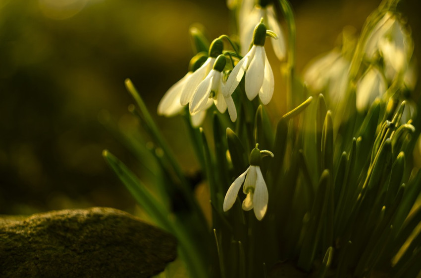 Több melegrekord megdőlhet a napokban