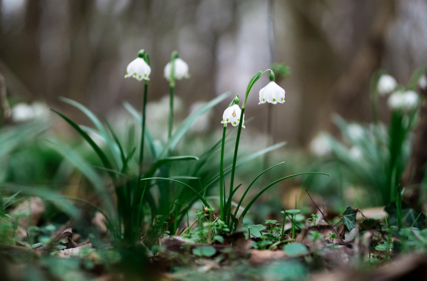 Továbbra sem jön lehűlés