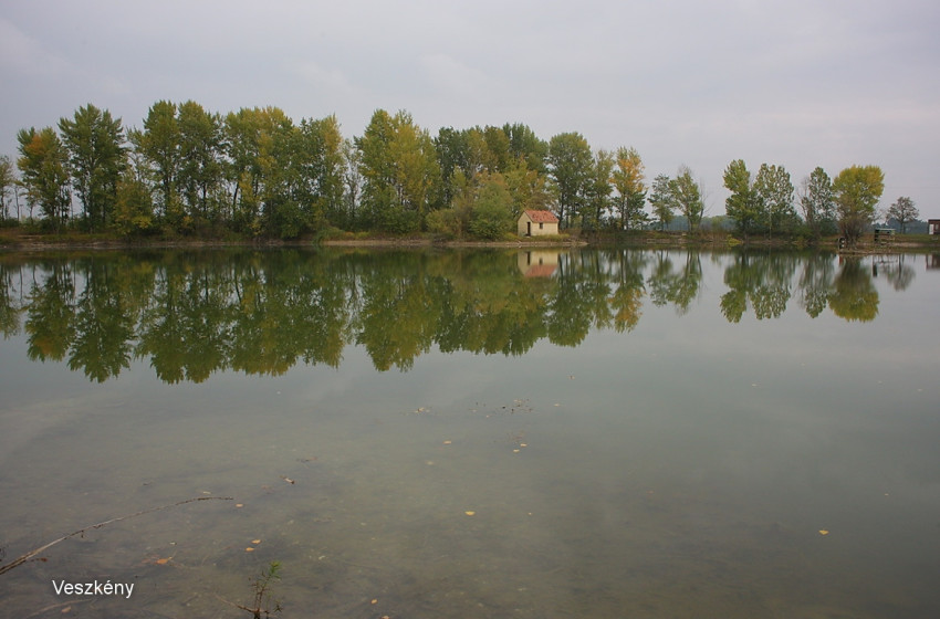 Horgászverseny gyerekeknek Veszkényben 