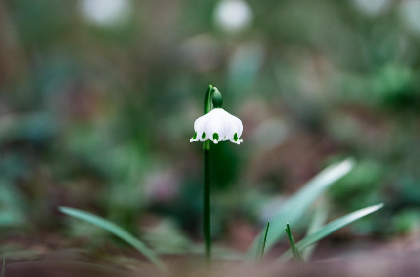 Egy-egy zivatart is hozhat március eleje