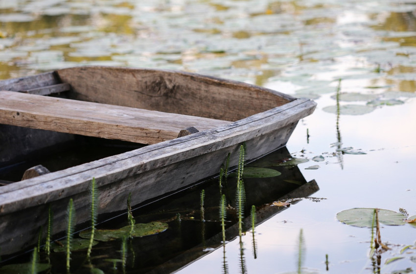 Holttestet találtak a Rábában