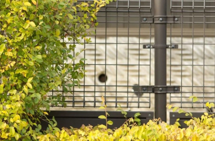 A ház egyik legjobb őre: a kombinált sövény