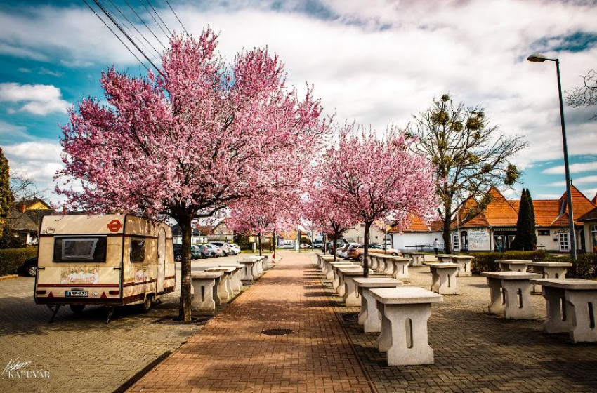 Hétvégén újra a tavasz győzedelmeskedik