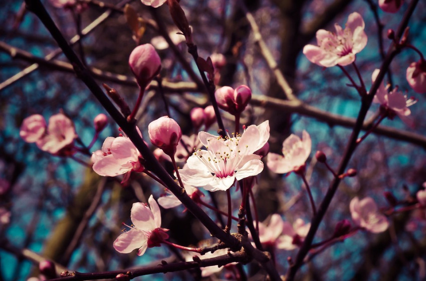 Borongós idővel fordulunk rá a hosszú hétvégére
