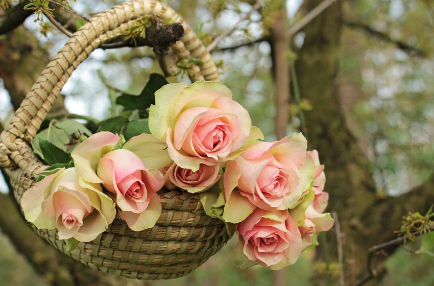 A házikert és az önellátás a téma Beleden