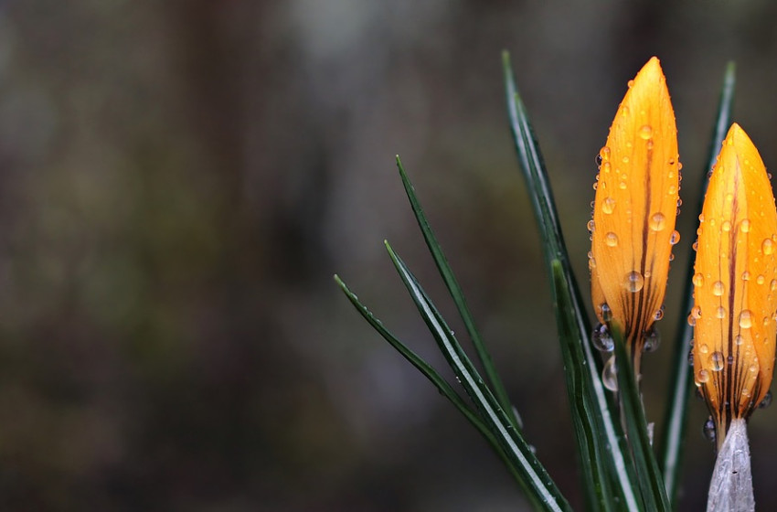 Fagyos légtömeg szivárog a Kárpát-medencébe