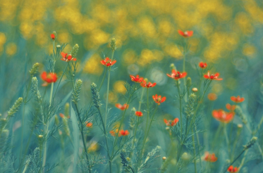 Kiderült, meddig maradnak a fagyos hajnalok 