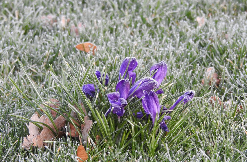Változékonyra fordul az időjárás