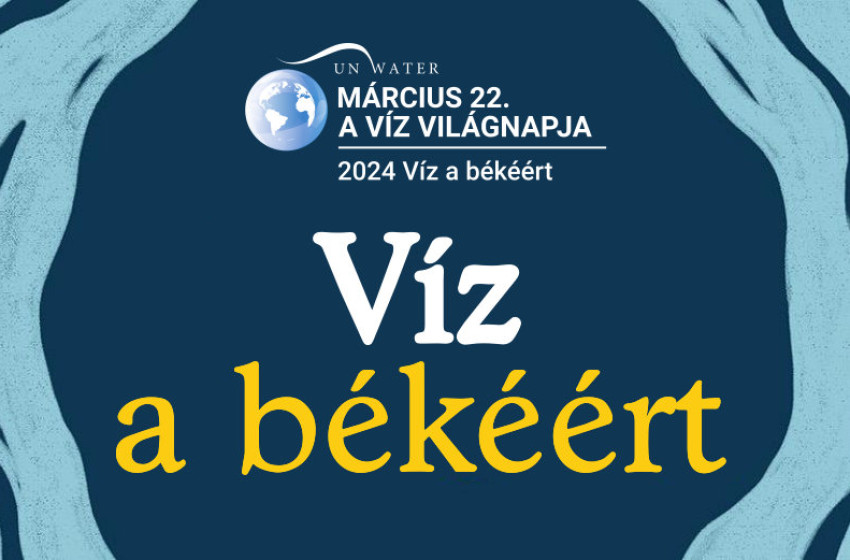 Víz Világnapja